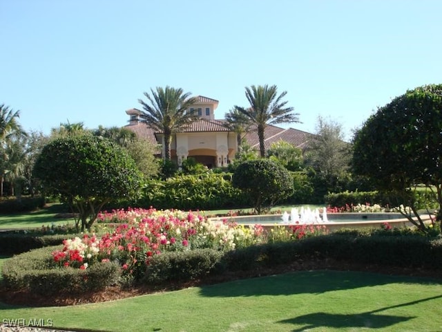 surrounding community featuring a yard