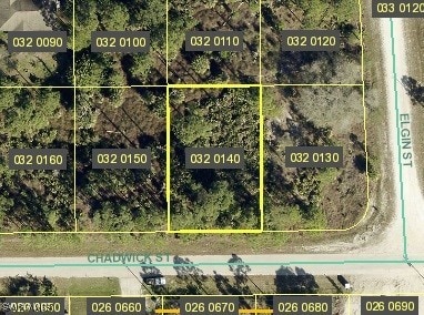 1053 Chadwick St, Lehigh Acres FL, 33974 land for sale