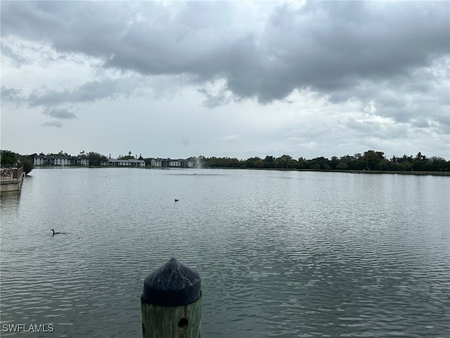 view of water feature