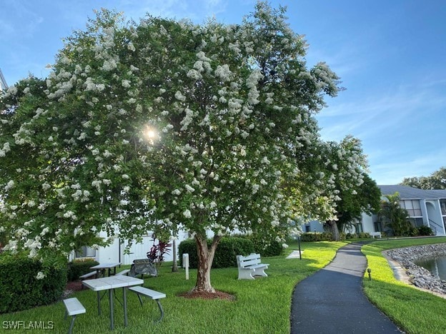 exterior space featuring a yard