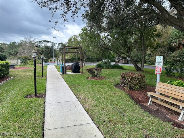 view of community with a yard