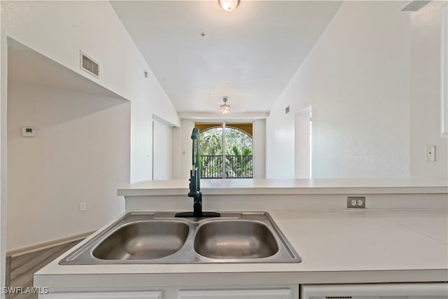 kitchen featuring lofted ceiling, hardwood / wood-style floors, and sink