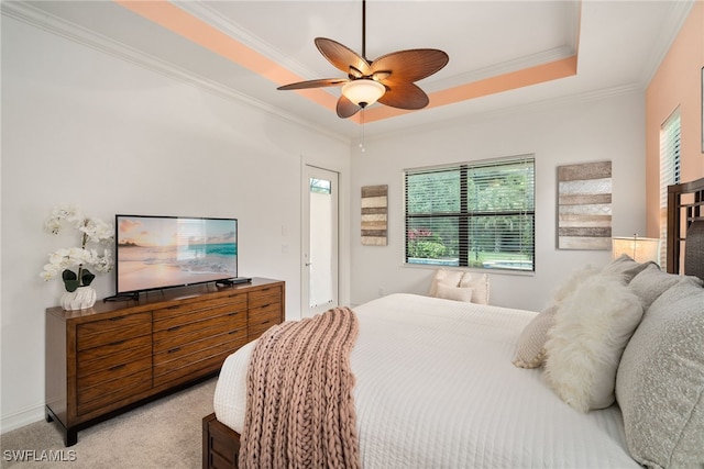 carpeted bedroom featuring ceiling fan, multiple windows, a raised ceiling, and ornamental molding