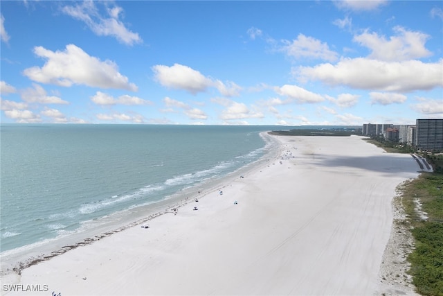 water view featuring a beach view