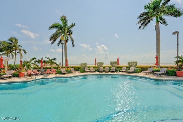 view of pool featuring a patio area