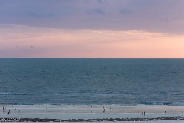 water view featuring a beach view