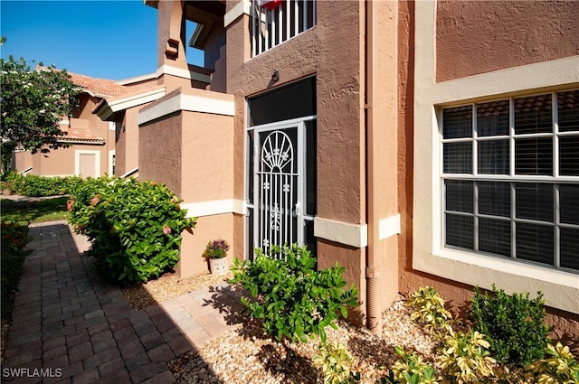 view of exterior entry with stucco siding