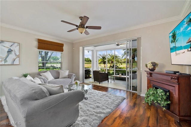 living room featuring dark hardwood / wood-style flooring, ceiling fan, and crown molding