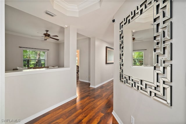 corridor with dark hardwood / wood-style floors and crown molding