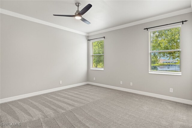 spare room featuring carpet, crown molding, and ceiling fan