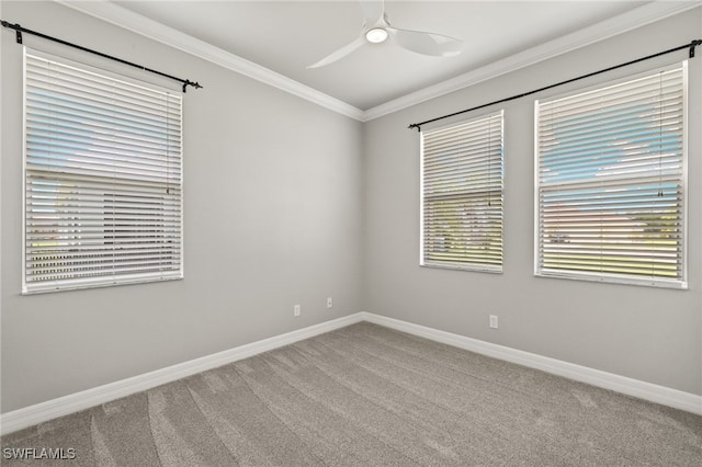 unfurnished room with crown molding, carpet, and ceiling fan