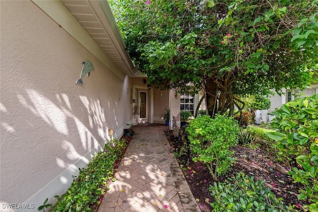 doorway to property with stucco siding