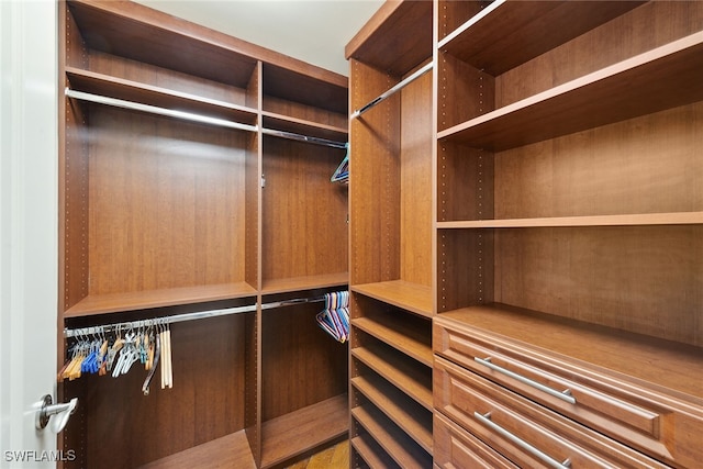 view of spacious closet