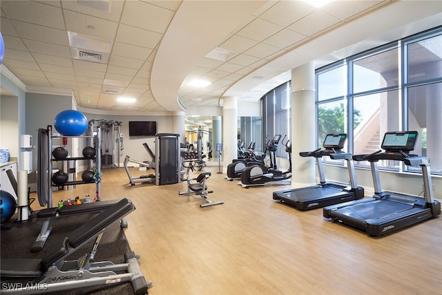 workout area with a drop ceiling, hardwood / wood-style flooring, and crown molding