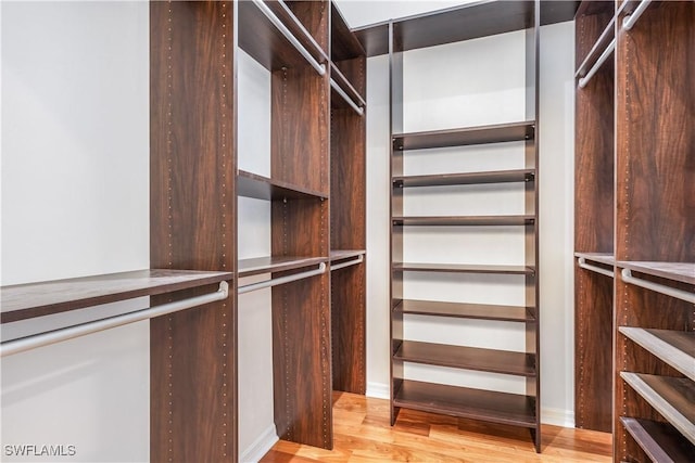 spacious closet featuring light wood-style flooring