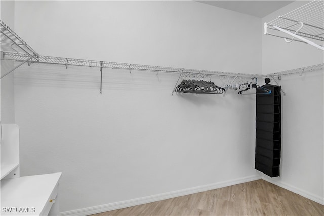 spacious closet featuring wood-type flooring