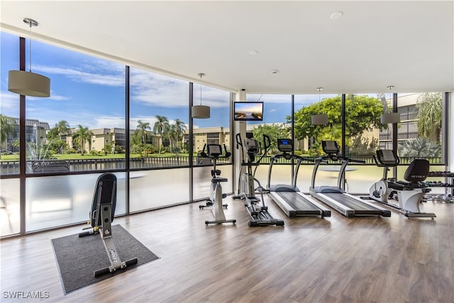 workout area with wood-type flooring and a wall of windows