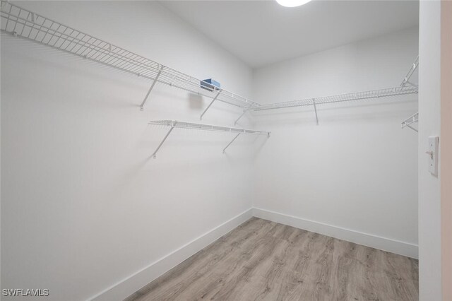 walk in closet featuring light hardwood / wood-style floors