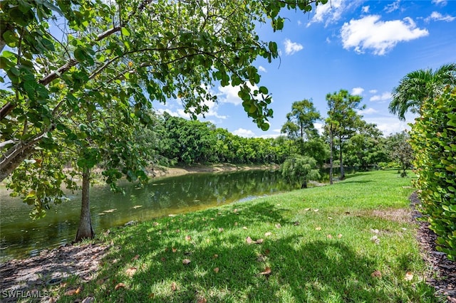 view of yard featuring a water view