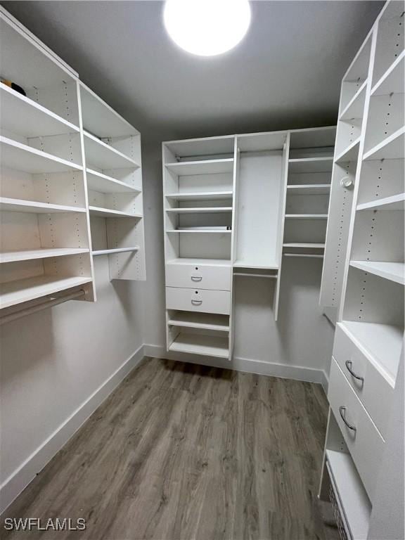 spacious closet featuring wood finished floors