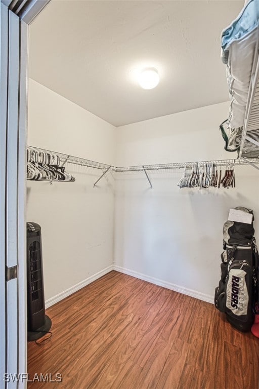 walk in closet with hardwood / wood-style floors