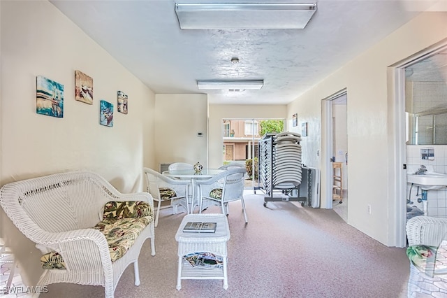 interior space featuring sink and carpet