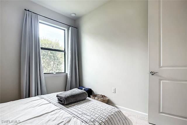 bedroom featuring carpet floors