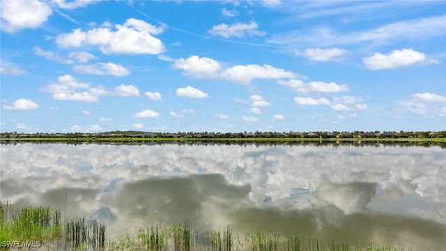 property view of water