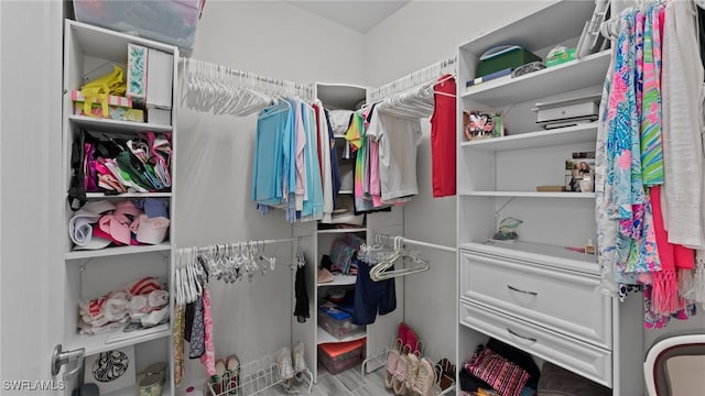 view of spacious closet