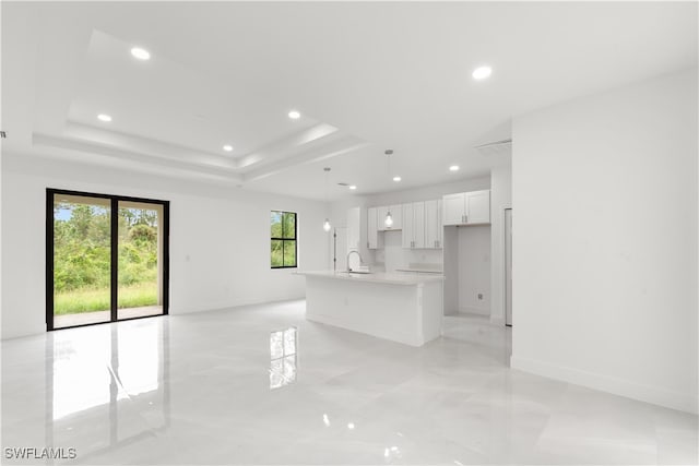 interior space with sink and a tray ceiling