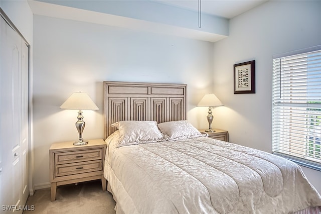 bedroom with carpet flooring and a closet