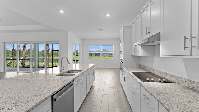 kitchen with light stone countertops, sink, stainless steel appliances, and a healthy amount of sunlight