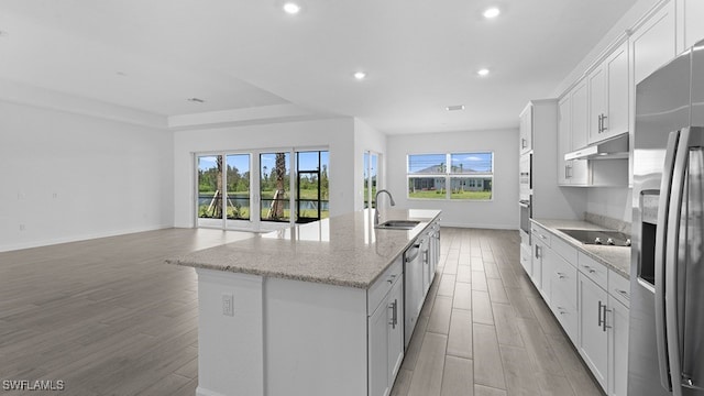 kitchen featuring fridge, extractor fan, plenty of natural light, and a kitchen island with sink