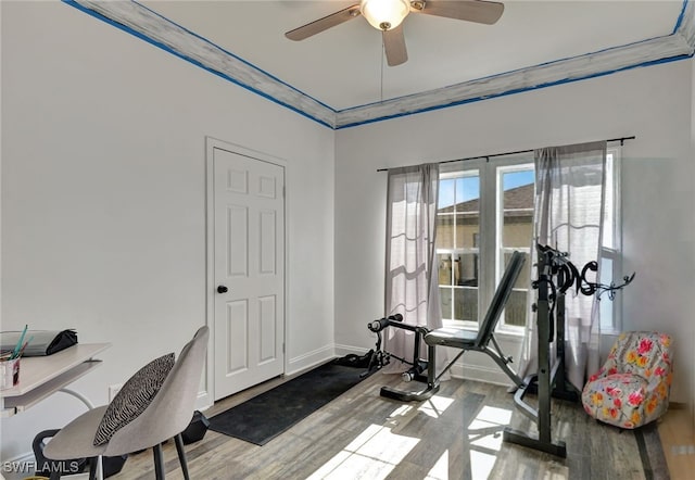 exercise area featuring ceiling fan, light hardwood / wood-style flooring, and crown molding