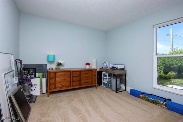 misc room with light carpet and a textured ceiling