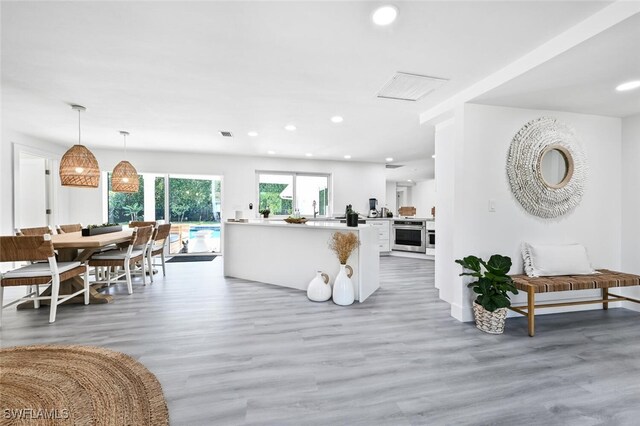 living room featuring wood-type flooring