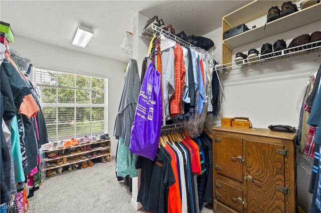 spacious closet with carpet