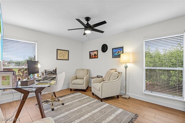 office space featuring light hardwood / wood-style floors, a wealth of natural light, and ceiling fan