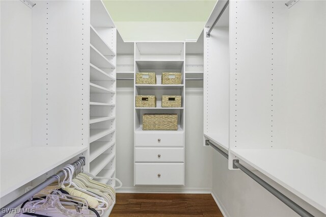 spacious closet with hardwood / wood-style flooring