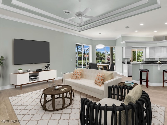 living room featuring crown molding, light hardwood / wood-style floors, and a raised ceiling