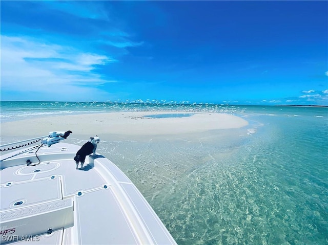 water view featuring a beach view