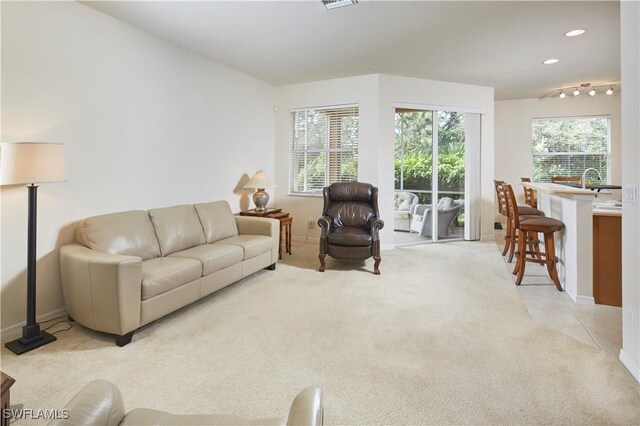 carpeted living room featuring sink and rail lighting