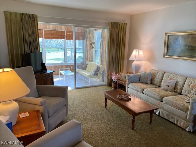 living room with carpet floors