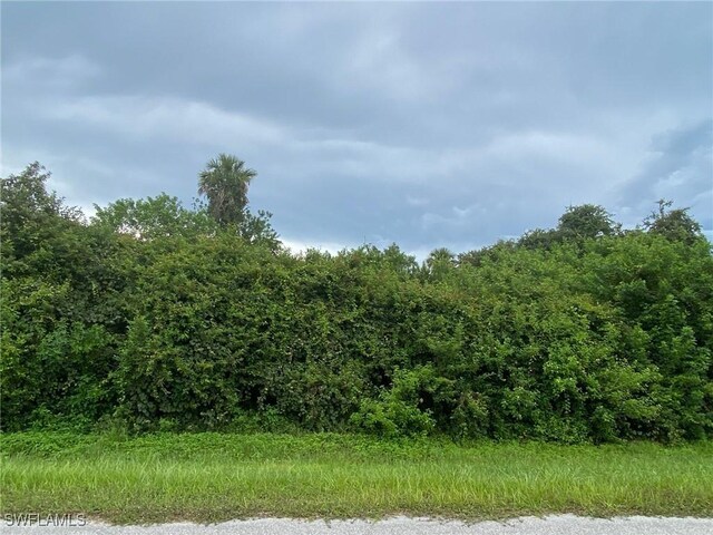 4175 32nd Ave SE, Naples FL, 34117 land for sale