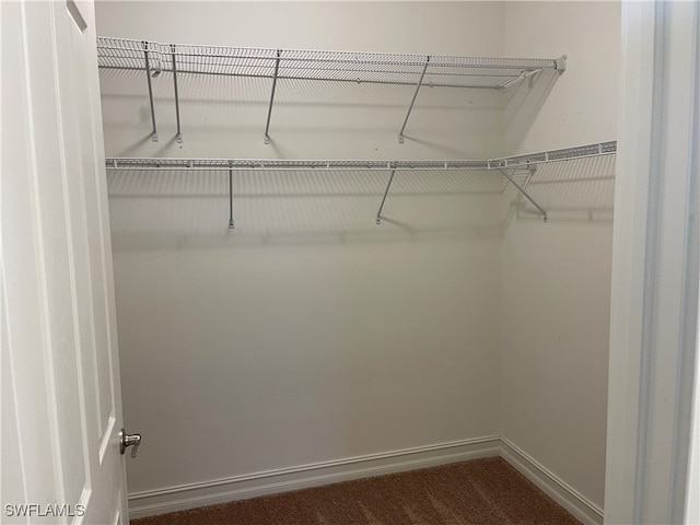 walk in closet featuring dark colored carpet