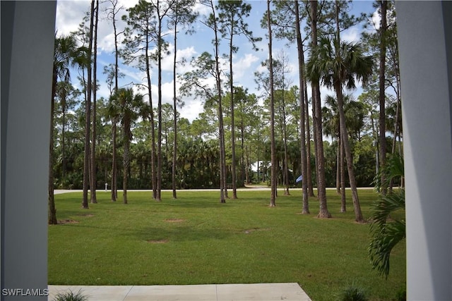 788 9th St SW, Naples, FL 34117 - view of community featuring a yard and view of wooded area
