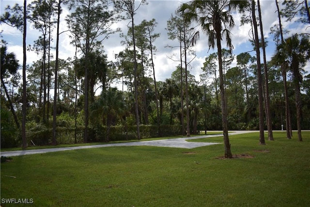 788 9th St SW, Naples, FL 34117 - view of home's community with a yard and concrete driveway