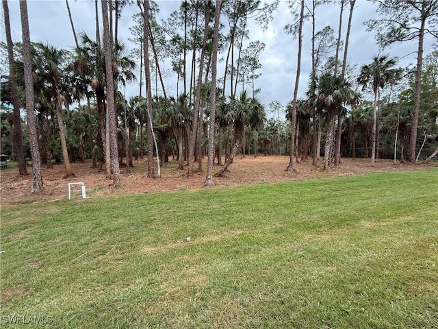 788 9th St SW, Naples, FL 34117 - view of green lawn
