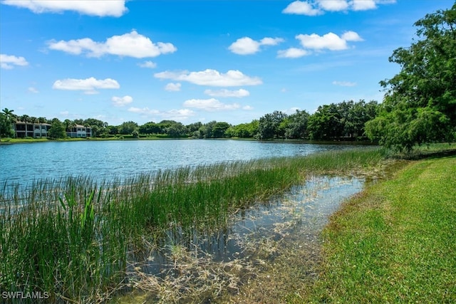 view of water feature