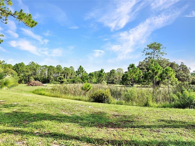 view of nature